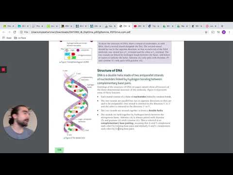 IB Biology 2.6 Part 1