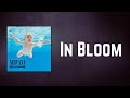 Nirvana In Bloom Lyrics