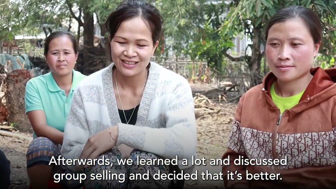 USAID Laos Microenterprise Achievements ຜົນສຳເລັດຂອງໂຄງການສົ່ງເສີມຈຸນລະວິສາຫະກິດກະສິກຳ