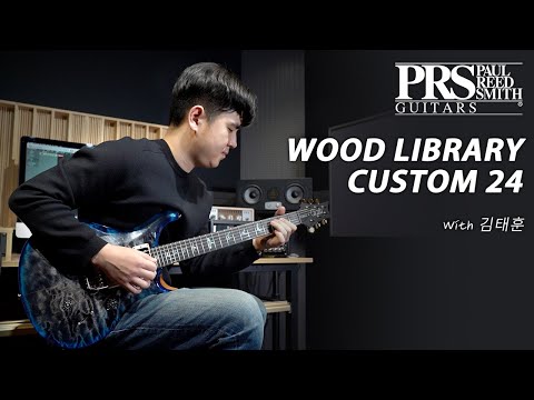 PRS Wood Library Custom 24 Demo - 'Dan Cry' (Cover) by Guitarist 'Taehoon Kim' (김태훈)