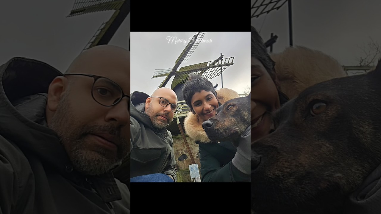 Rescue Dog's First Christmas with Furever Family #rescuedogs #expatsindenmark #joplin