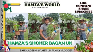 Hamza's Shoker Bagan Uk