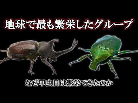 ランファストス・スルフラトゥス