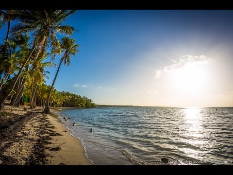 Locomurder Feat LaShine - Gwadloup