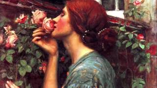Robert White - The Last Rose of Summer