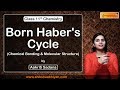 born haber s cycle chemical bonding and molecular structure cbse class 11 chemistry