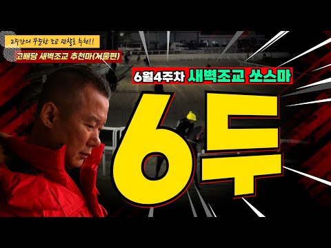 6월을 마감하는 월말경마!! 준비잘된 복병마 많습니다!! 준비잘된[새벽조교쏘스마] 2주간 훈련변화 보인 마필은