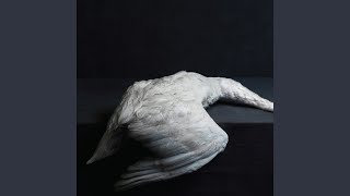 Music video thumbnail preview for Plus Près De Toi (Closer to You) by Amenra
