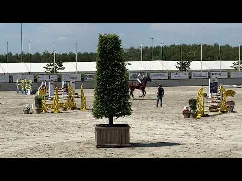 Foncetti vd heffinck 6y old