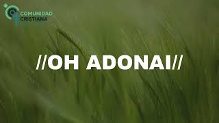 Has cambiado mi lamento en baile/Oh Adonai - Marcos Witt (Letra)