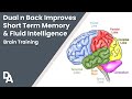 Dual N Back Memory Game Improves Working Memory Fluid Intelligence That Dating Anxiety Guy