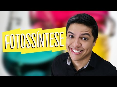 FOTOSSINTESE - FASE CLARA E ESCURA - Prof. Kennedy Ramos