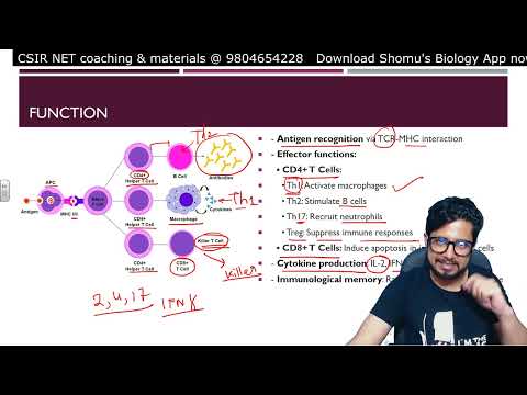 Inflammation animation Steps of inflammatory response Shomu s Biology