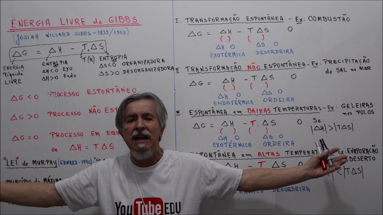 Aula 335.1 - Energia Livre de Gibbs