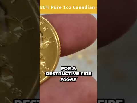 #10 The Shocking Truth About Canadian Gold Maple Leaf Coin Purity Revealed
