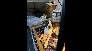 Oogjes gaan open! ♫