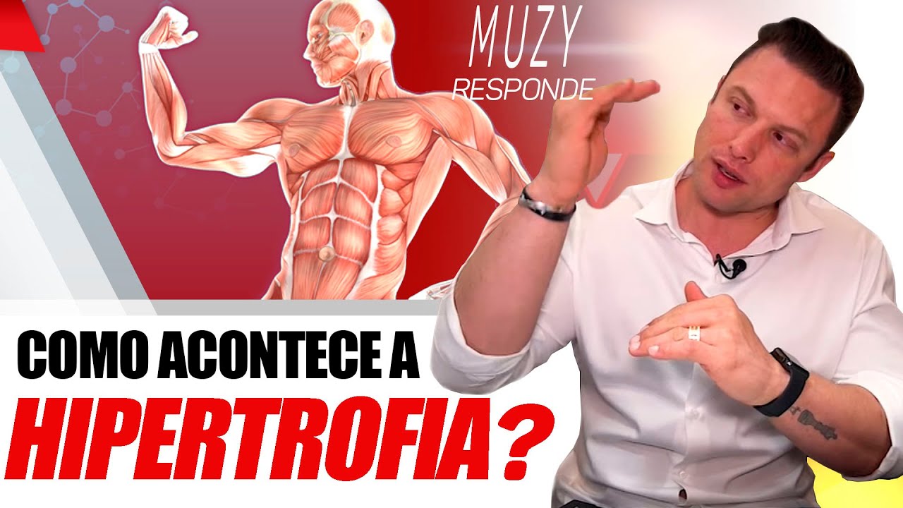 COMO ACONTECE A HIPERTROFIA MUSCULAR? | MUZY RESPONDE