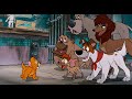 Oliver And Company New York City