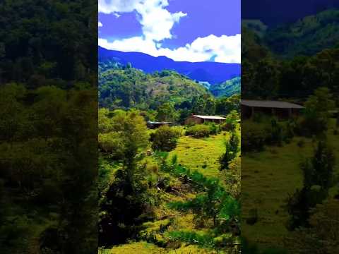 Perdimos el dron por estar en busca del vino de mora de Charta, Santander