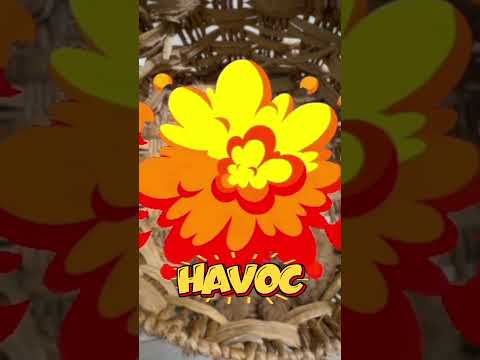 Thumbnail for Havoc's video