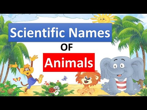 Scientific  Names of Most Common Animals
