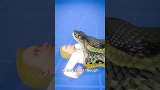 What Happens If A Snakes Eats You 😱