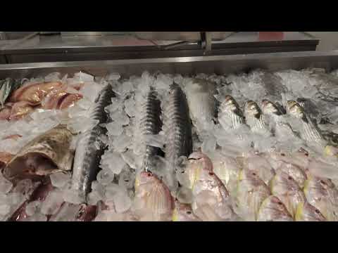 fish stor. jsry chicken and more