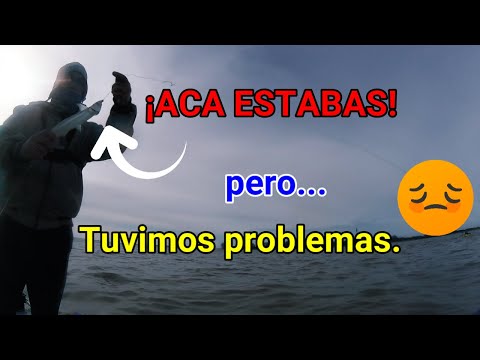 Pejes...pejes LA ENCONTAMOS🎣😁😁Peeeero...🤷‍♀️ nos esquivocamos de carnada...🤦‍♂️😌
