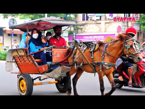 , title : 'Ibu-ibu Sosialita Naik Kuda Delman Bekasi-Jakarta  || Horse || Syafira TV'