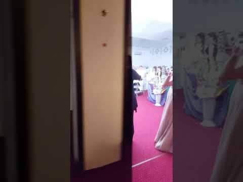 Star show time primirea tortului