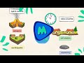 Our Ever Changing Earth Earthquakes Volcanoes Erosion Explained MightyOwl Science 2nd Grade