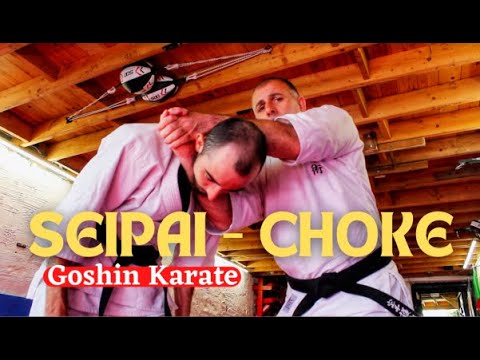 Seipai Kata Application - Choke Bunkai  #Seipai #katabunkai #kataapplication