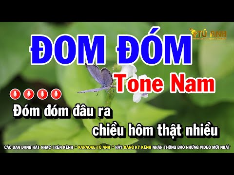 Đom Đóm Karaoke - Tone Nam Nhạc Sống Dễ Hát