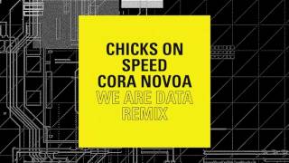 Chicks On Speed  - We are data (Cora Novoa Radio Edit Remix)