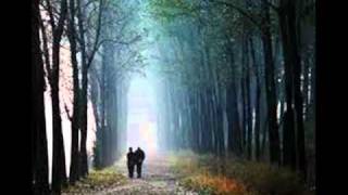 Maria Gadú - Quase Sem Querer