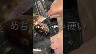 メバル釣れたから煮る #料理 #煮る #グルメ好き