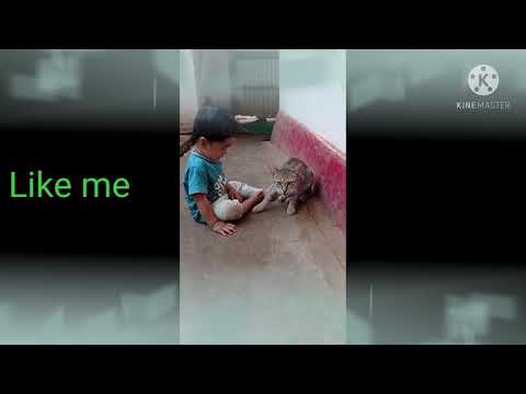 Pratyush and cat's video's