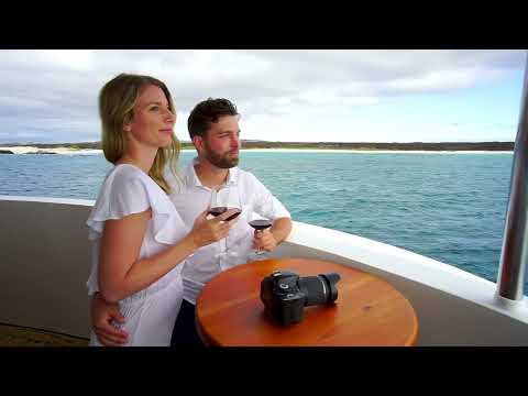 Cruise video 2
