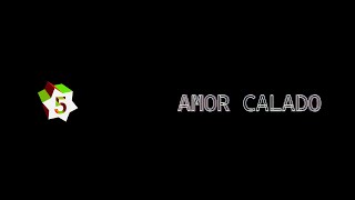 Amor Calado Lyrics English Translation