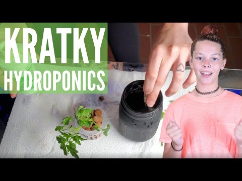 Kratky Mason Jar DIY | Cheap & Easy Setup for Hydroponics