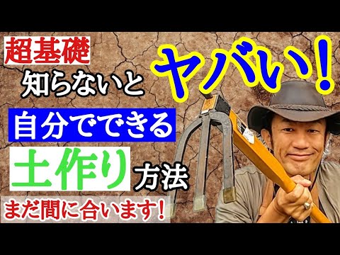 粘土質の土壌に植える果樹はどれですか?いつ、どのように植えるのですか？  庭園