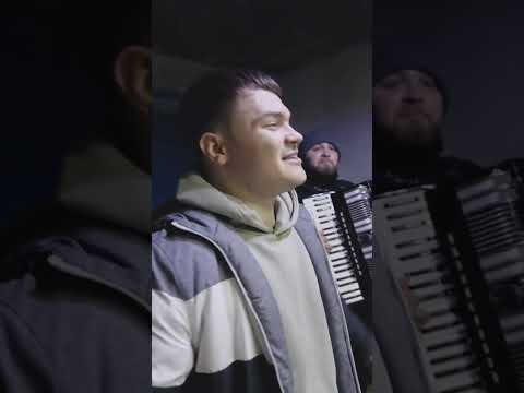 Alexandru Ciubotaru  - Dintr-o dragoste curata a iesit un printisor