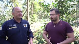 Regional de Irati é a terceira que mais produz erva-mate no Paraná