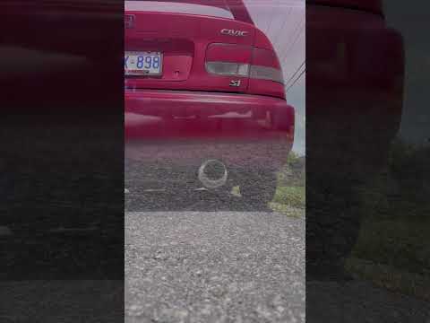 EBay exhaust vs quality vibrant muffler and resonator