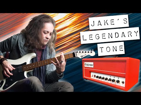 Friedman JEL-20 Jake E. Lee Signature 2-Channel 20-Watt Guitar Amp Head - Red image 11