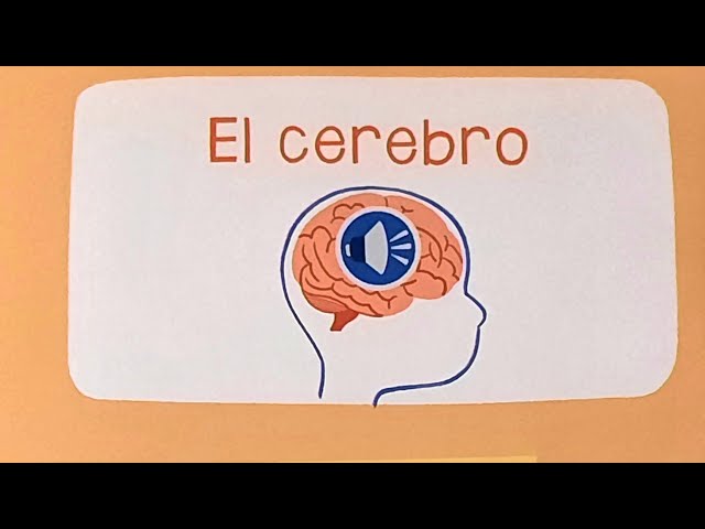 Vídeo relacionado con Creo en ti: 6 cuentos cortos para ayudarnos a tomar buenas decisiones (Emociones, valores y hábitos)