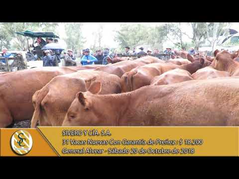 20-10-18 Venta de Vientres - Remate Aniversario - Sivero y Cía. S.A. - Gral. Alvear