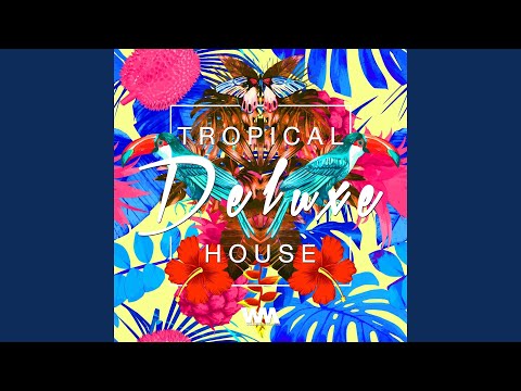 Collide (feat. Robyn The Bank) (Who Knows Remix)