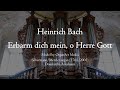 H. Bach - Erbarm dich mein, o Herre Gott - Silbermann/Metzler organ, Arlesheim, Hauptwerk - Ralph Looij H. Bach - Erbarm dich mein, o Herre Gott - Silbermann/Metzler organ, Arlesheim, Hauptwerk