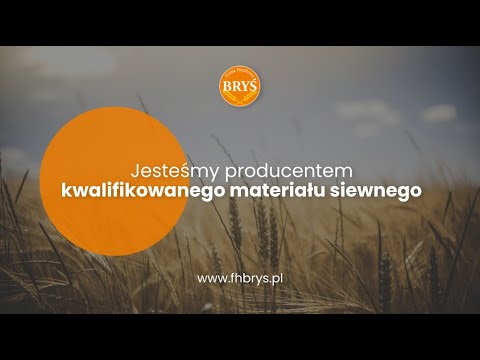 Zobacz filmy filmy